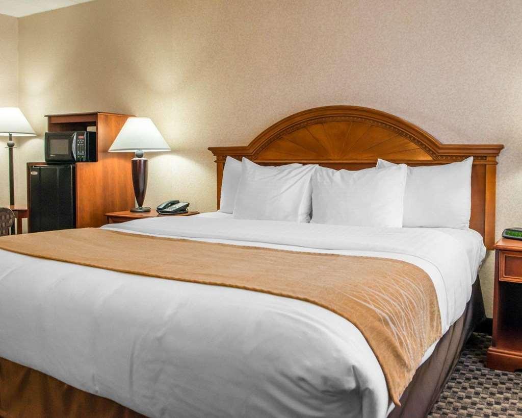 Comfort & Hotel