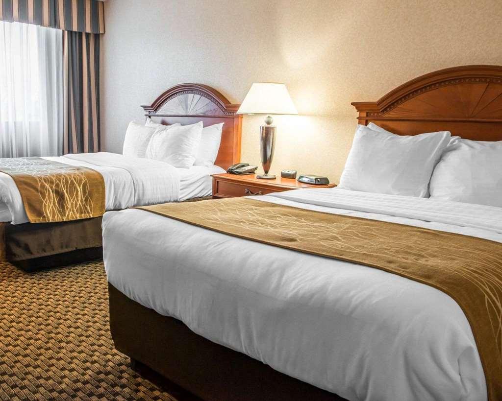 Comfort & Hotel